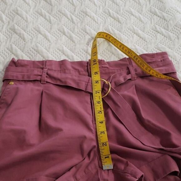 Loft.  Pleated Dusty Pink Shorts; 4 Cargo Pockets; Cinched Belt. Size 2. EUC - Picture 10 of 10